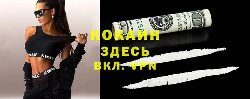 где найти наркотики  Бирюсинск  Cocaine Fish Scale 