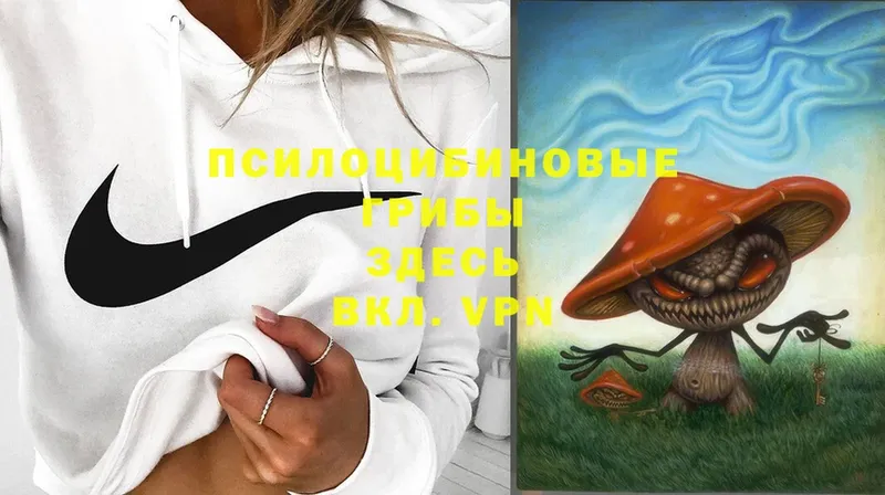 Псилоцибиновые грибы Magic Shrooms  Бирюсинск 